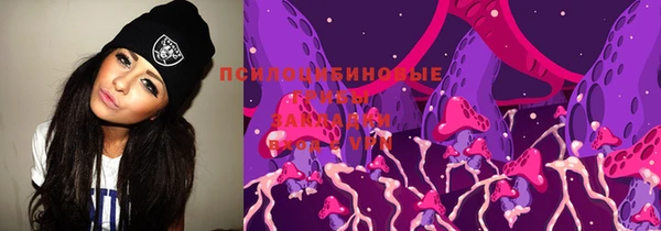 хмурый Магас