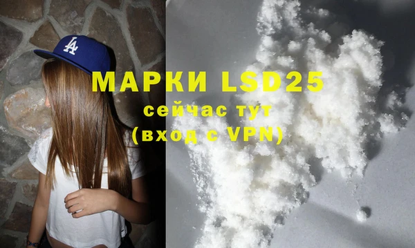 хмурый Магас