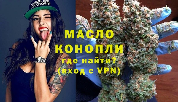 хмурый Магас
