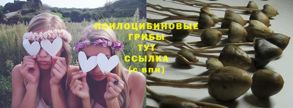 дмт Майский